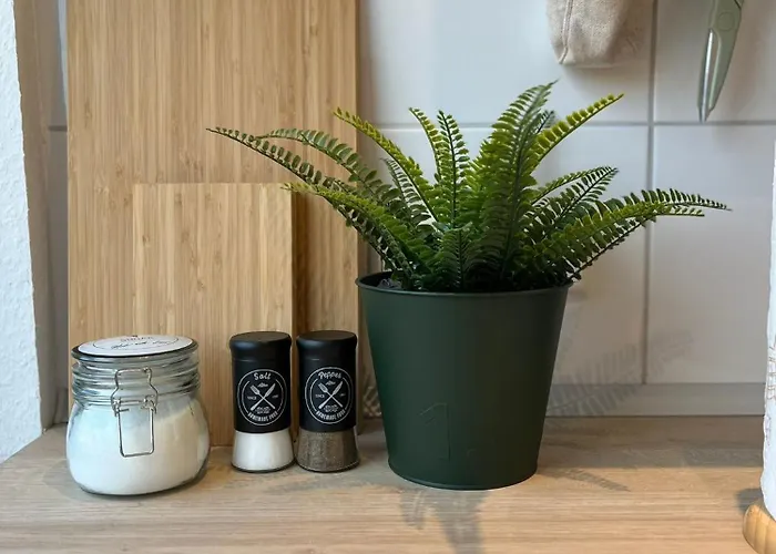 Auszeit Am Kurpark I 24h Check-in I Wlan Appartement Bad Salzuflen